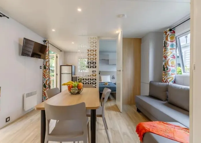 Zecamping 3 Familial Animaux Acceptes Piscine Couverte Et Chauffee Kemping Talmont-Saint-Hilaire