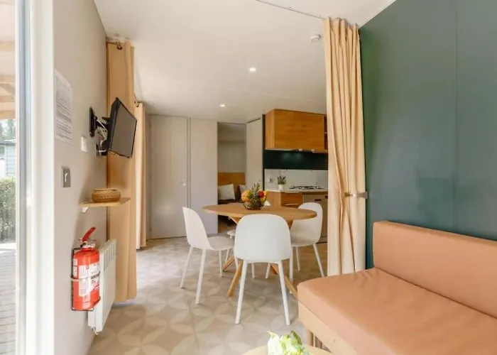 Zecamping 3 Familial Animaux Acceptes Piscine Couverte Et Chauffee Talmont-Saint-Hilaire