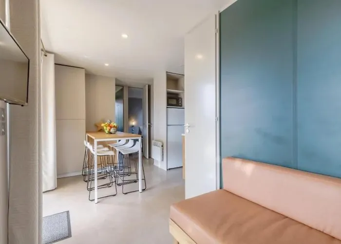 Zecamping 3 Familial Animaux Acceptes Piscine Couverte Et Chauffee 3* Talmont-Saint-Hilaire